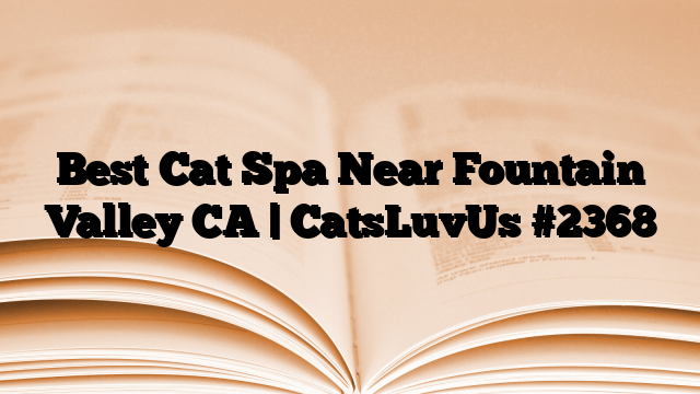 Best Cat Spa Near Fountain Valley CA | CatsLuvUs