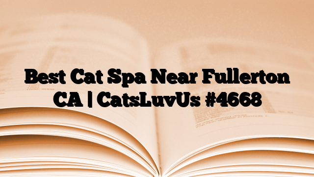 Best Cat Spa Near Fullerton CA | CatsLuvUs