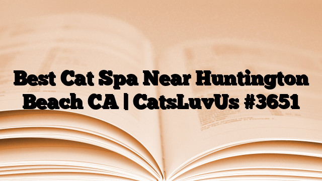 Best Cat Spa Near Huntington Beach CA | CatsLuvUs