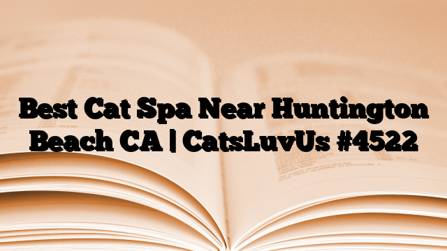 Best Cat Spa Near Huntington Beach CA | CatsLuvUs