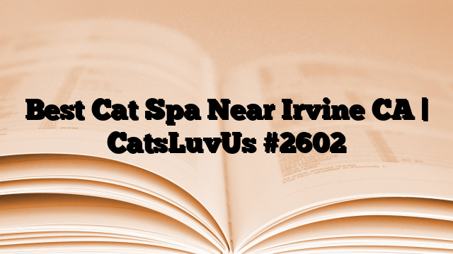 Best Cat Spa Near Irvine CA | CatsLuvUs