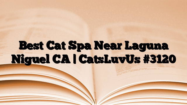Best Cat Spa Near Laguna Niguel CA | CatsLuvUs