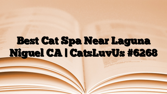 Best Cat Spa Near Laguna Niguel CA | CatsLuvUs