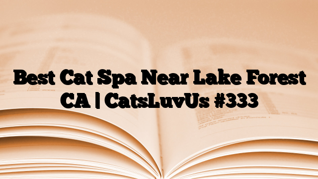 Best Cat Spa Near Lake Forest CA | CatsLuvUs