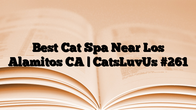 Best Cat Spa Near Los Alamitos CA | CatsLuvUs