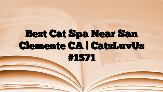 Best Cat Spa Near San Clemente CA | CatsLuvUs