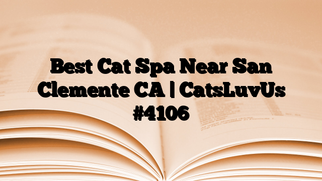 Best Cat Spa Near San Clemente CA | CatsLuvUs
