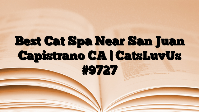 Best Cat Spa Near San Juan Capistrano CA | CatsLuvUs