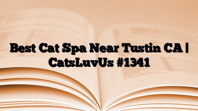 Best Cat Spa Near Tustin CA | CatsLuvUs