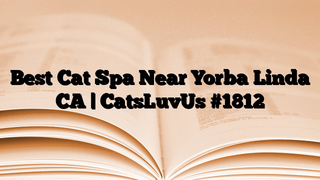 Best Cat Spa Near Yorba Linda CA | CatsLuvUs