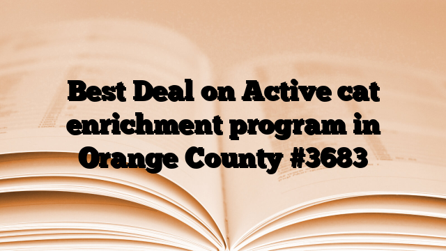 Best Deal on Active cat enrichment program in Orange County