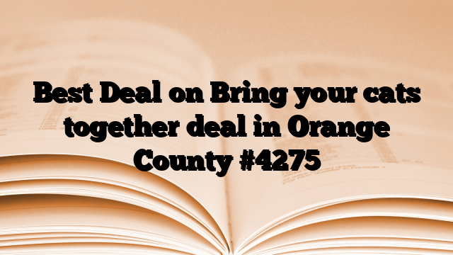 Best Deal on Bring your cats together deal in Orange County