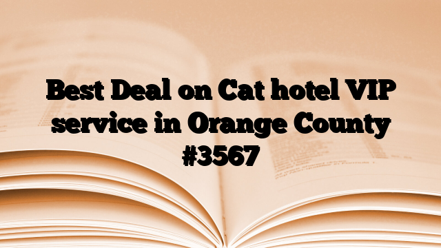 Best Deal on Cat hotel VIP service in Orange County