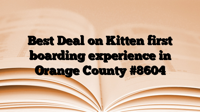 Best Deal on Kitten first boarding experience in Orange County