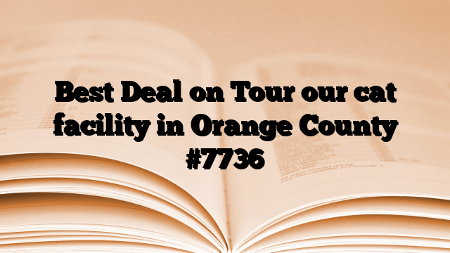 Best Deal on Tour our cat facility in Orange County