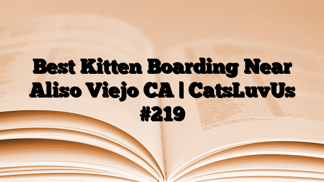 Best Kitten Boarding Near Aliso Viejo CA | CatsLuvUs