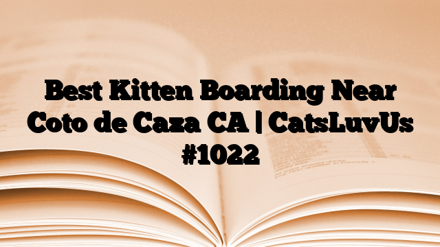 Best Kitten Boarding Near Coto de Caza CA | CatsLuvUs