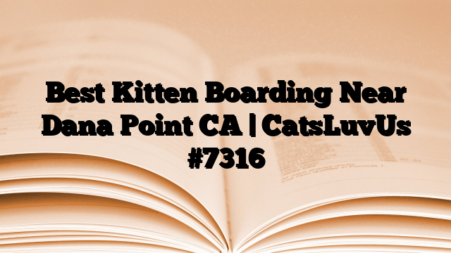 Best Kitten Boarding Near Dana Point CA | CatsLuvUs