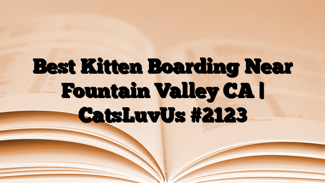 Best Kitten Boarding Near Fountain Valley CA | CatsLuvUs