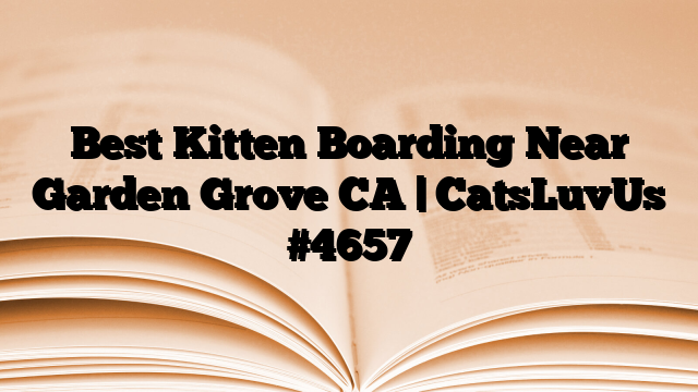Best Kitten Boarding Near Garden Grove CA | CatsLuvUs