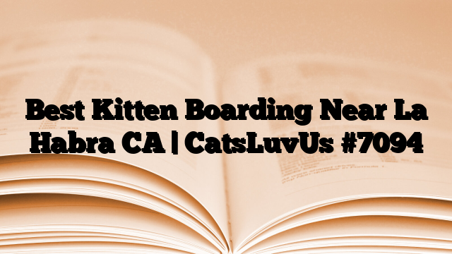 Best Kitten Boarding Near La Habra CA | CatsLuvUs