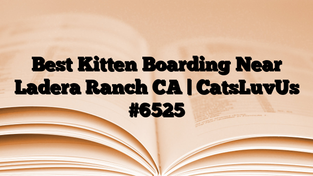 Best Kitten Boarding Near Ladera Ranch CA | CatsLuvUs
