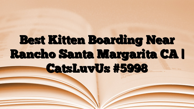 Best Kitten Boarding Near Rancho Santa Margarita CA | CatsLuvUs