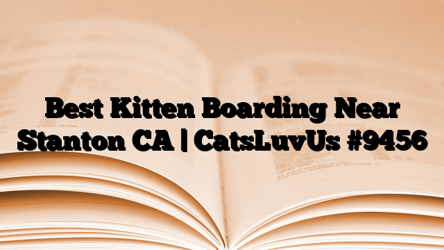Best Kitten Boarding Near Stanton CA | CatsLuvUs