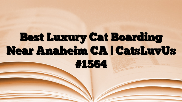 Best Luxury Cat Boarding Near Anaheim CA | CatsLuvUs