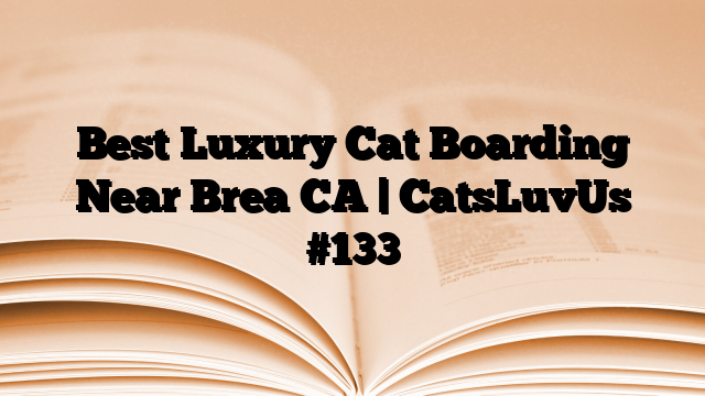 Best Luxury Cat Boarding Near Brea CA | CatsLuvUs
