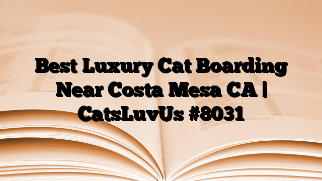 Best Luxury Cat Boarding Near Costa Mesa CA | CatsLuvUs