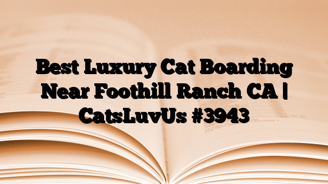 Best Luxury Cat Boarding Near Foothill Ranch CA | CatsLuvUs