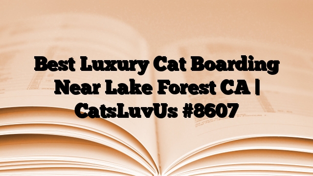 Best Luxury Cat Boarding Near Lake Forest CA | CatsLuvUs