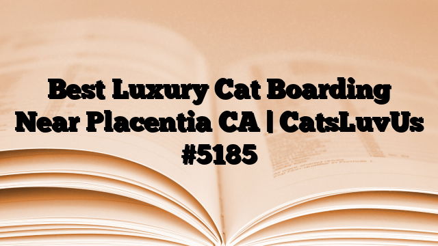 Best Luxury Cat Boarding Near Placentia CA | CatsLuvUs
