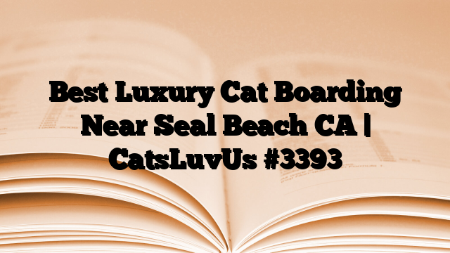 Best Luxury Cat Boarding Near Seal Beach CA | CatsLuvUs