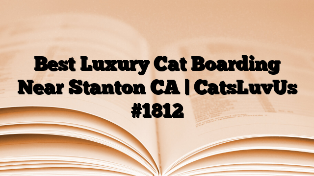 Best Luxury Cat Boarding Near Stanton CA | CatsLuvUs