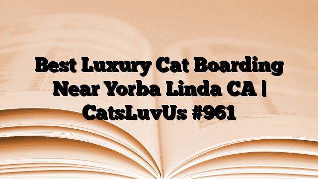 Best Luxury Cat Boarding Near Yorba Linda CA | CatsLuvUs