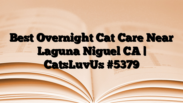 Best Overnight Cat Care Near Laguna Niguel CA | CatsLuvUs
