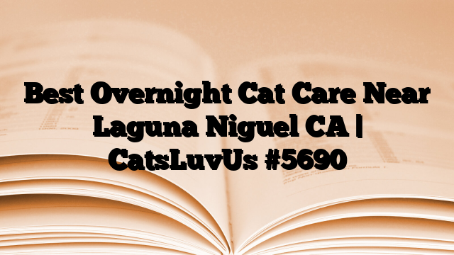Best Overnight Cat Care Near Laguna Niguel CA | CatsLuvUs