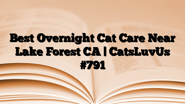 Best Overnight Cat Care Near Lake Forest CA | CatsLuvUs