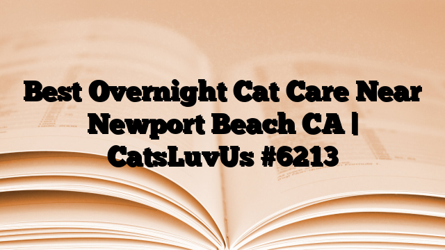 Best Overnight Cat Care Near Newport Beach CA | CatsLuvUs