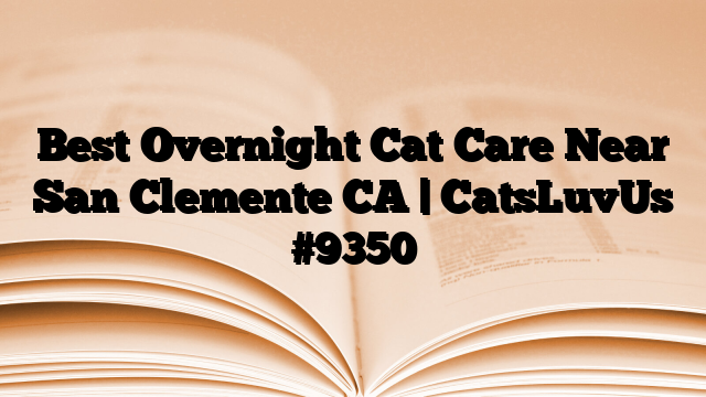 Best Overnight Cat Care Near San Clemente CA | CatsLuvUs