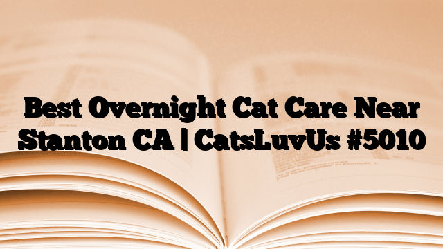 Best Overnight Cat Care Near Stanton CA | CatsLuvUs