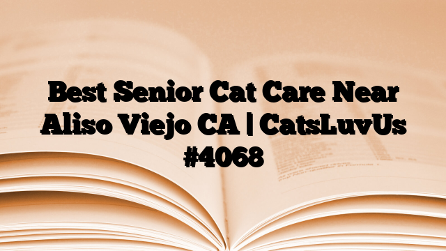 Best Senior Cat Care Near Aliso Viejo CA | CatsLuvUs