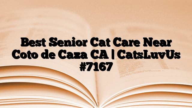 Best Senior Cat Care Near Coto de Caza CA | CatsLuvUs