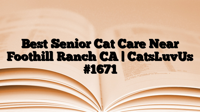 Best Senior Cat Care Near Foothill Ranch CA | CatsLuvUs
