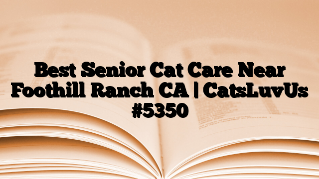 Best Senior Cat Care Near Foothill Ranch CA | CatsLuvUs