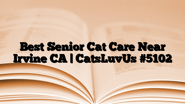 Best Senior Cat Care Near Irvine CA | CatsLuvUs