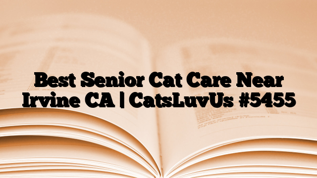 Best Senior Cat Care Near Irvine CA | CatsLuvUs
