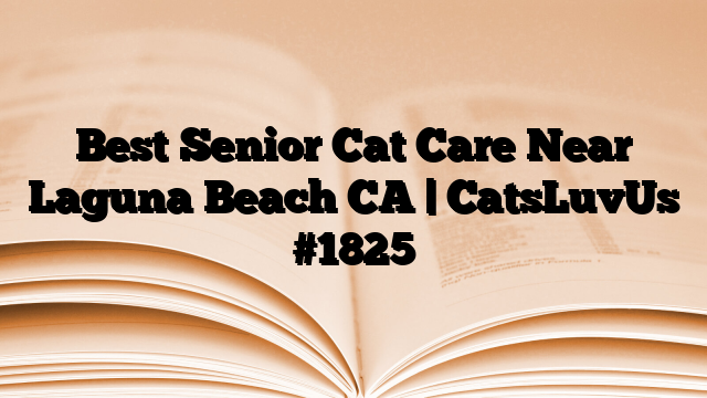 Best Senior Cat Care Near Laguna Beach CA | CatsLuvUs